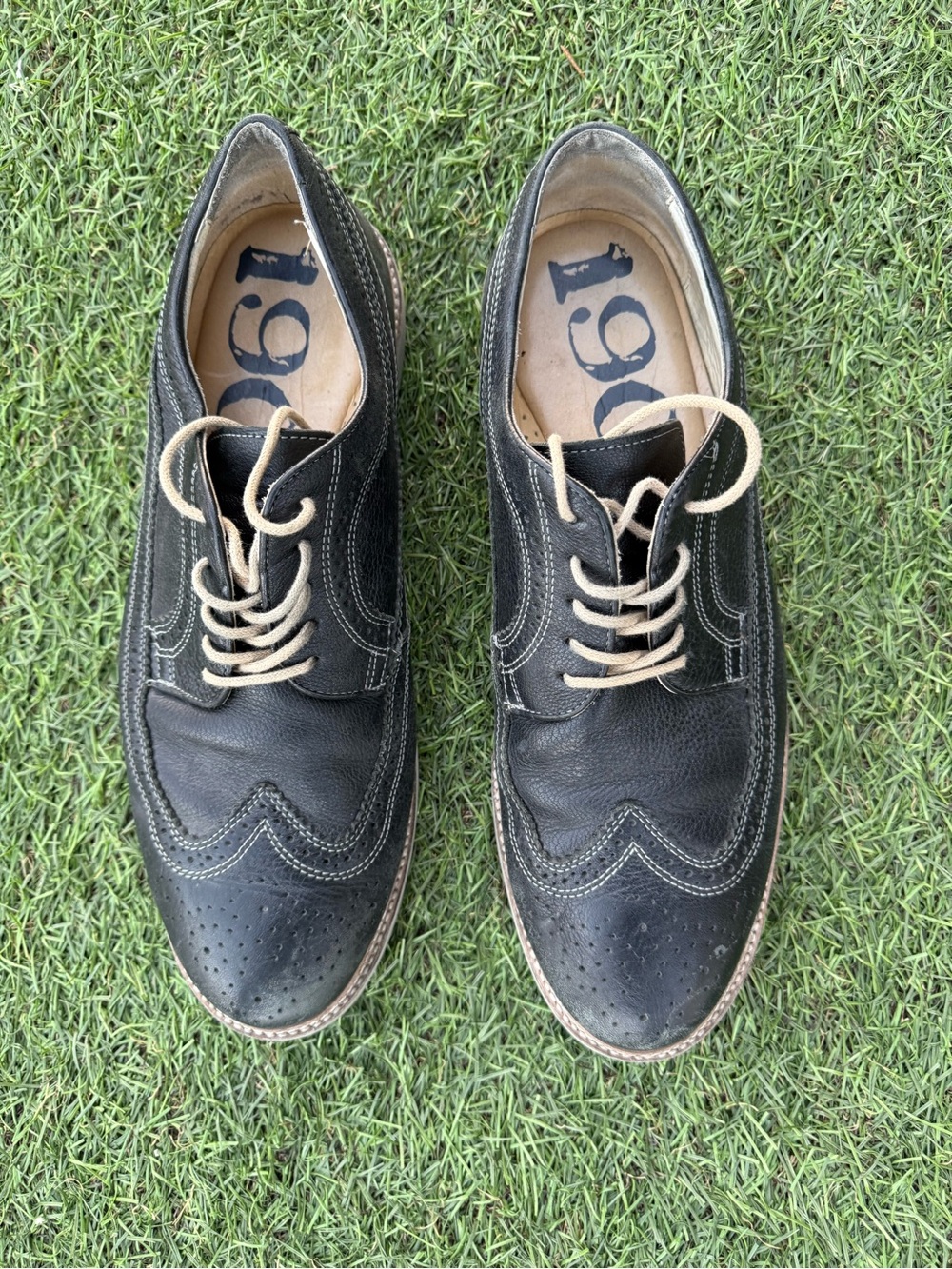 1901 Black'Casey' Longwing Derby Sz(14)